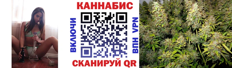 Наркотические вещества Олонец Конопля АМФ ГАШ блэк спрут вход Мефедрон Метадон
