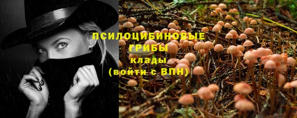 твердый Армянск