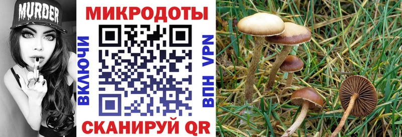 kraken рабочий сайт Олонец Галлюциногенные грибы ЛСД